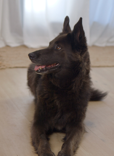 Advanced Self-Control