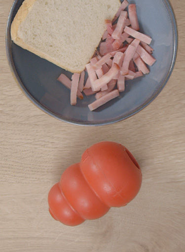 Learning to use the Kong